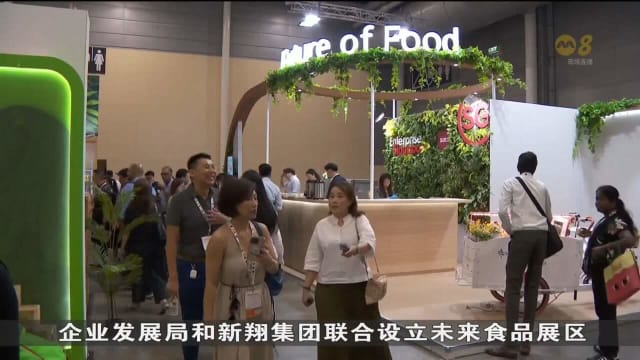 新加坡展区推出“未来食品展区” 展现本地植物与昆虫蛋白业者的产品