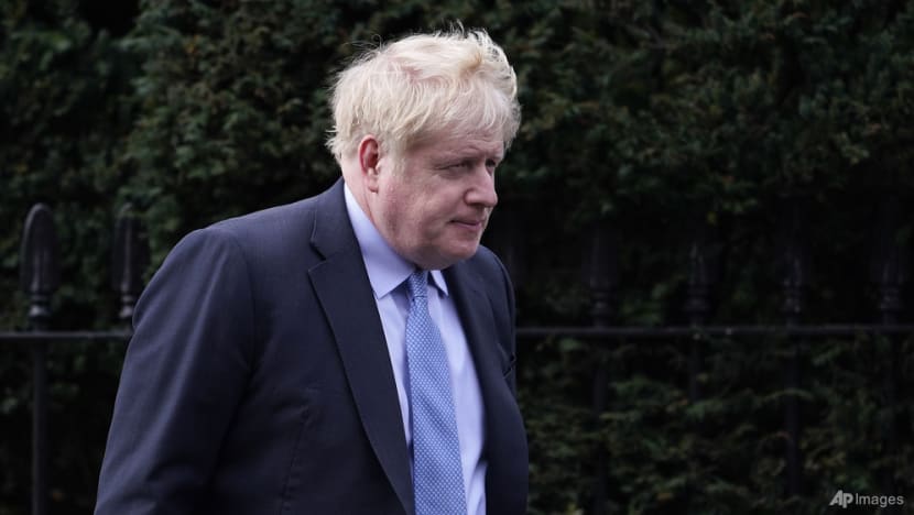 Boris Johnson's shock resignation reverberates through British ruling party