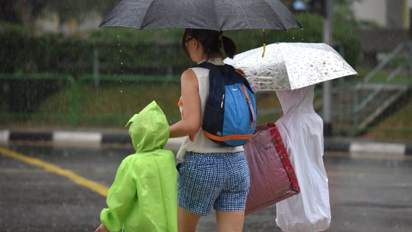 More rain, humid nights for next two weeks: Met service More rain, humid nights for next two weeks: Met service
