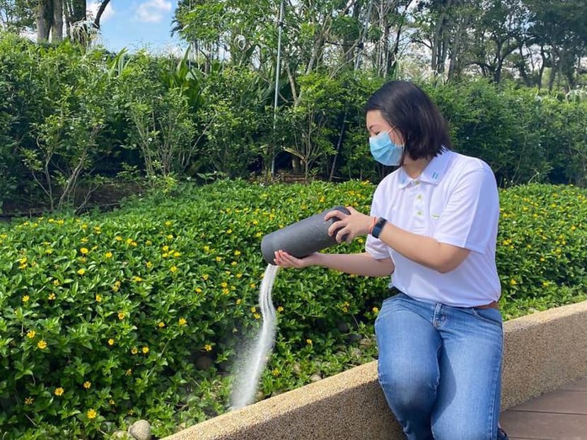 Ash scattering garden in Choa Chu Kang receives 1,900 applications; another site to open by 2024: NEA Ash scattering garden in Choa Chu Kang receives 1,900 applications; another site to open by 2024: NEA