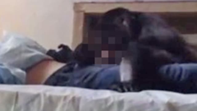 英男游柬时住酒店忘关窗 熟睡中遭猴子“性侵”