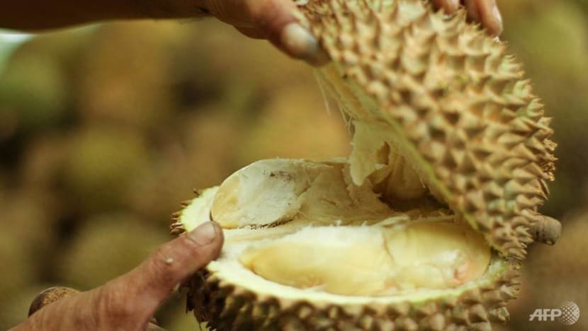 Smell of durian causes hundreds to evacuate from Canberra library Smell of durian causes hundreds to evacuate from Canberra library