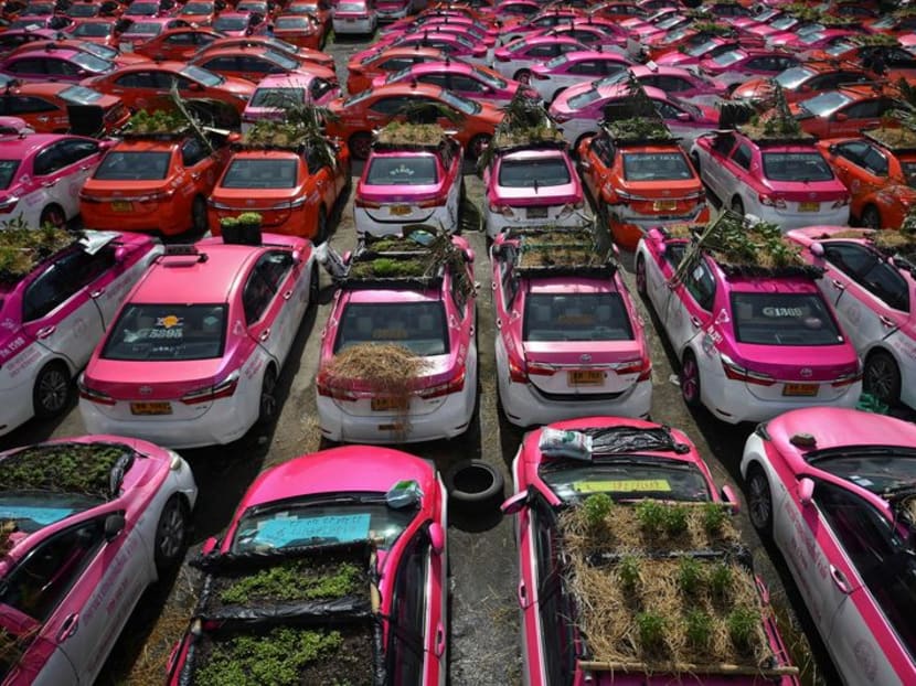 Green-thumbed Thai cabbies turn taxis into gardens amid COVID-19 crunch Green-thumbed Thai cabbies turn taxis into gardens amid COVID-19 crunch