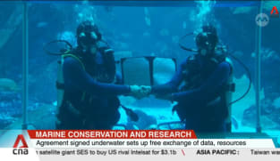 S.E.A. Aquarium and NTU researchers to study climate change impact
