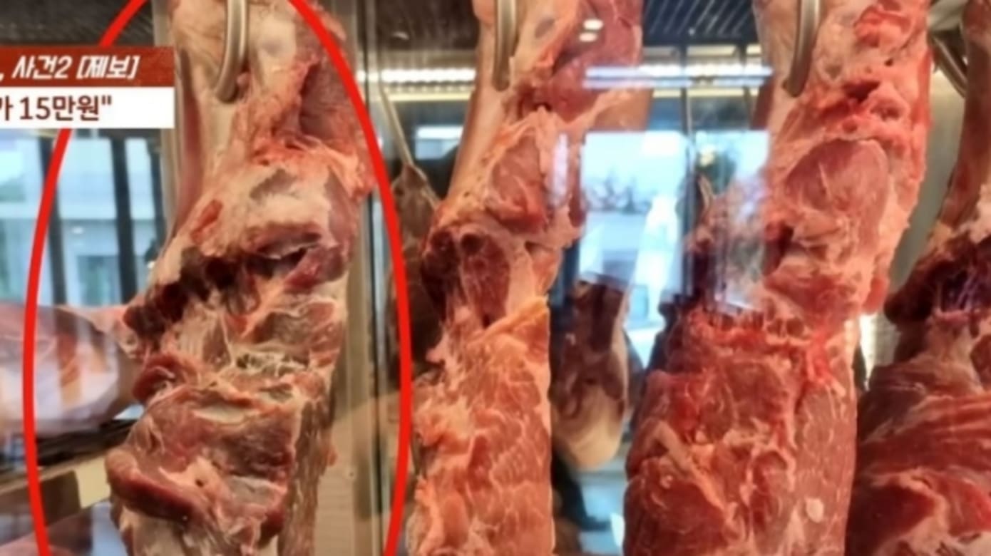 济州知名黑猪肉店被指把腐肉端上桌 店家称是恶意举报