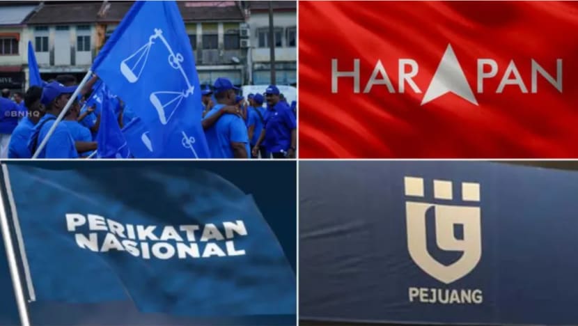 Pengundi muda, faktor Sabah & Sarawak penentu utama PRU15, bukan undi Melayu, kata penganalisis