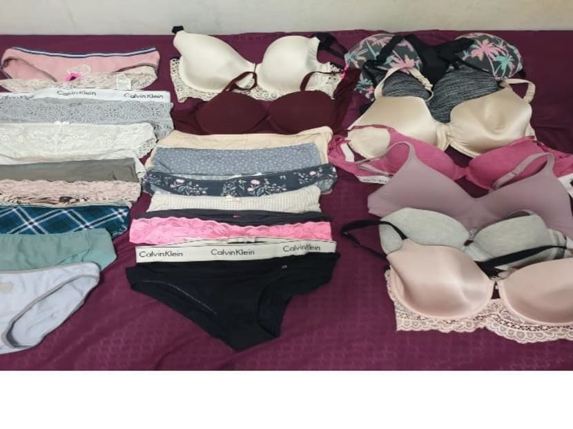 The police said that an assortment of more than 25 undergarments found in a man's possession were seized.
