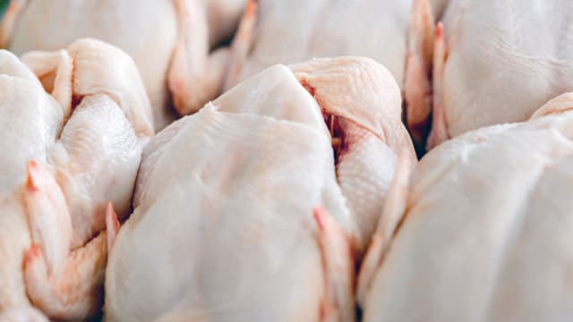 食品局获马国当局证实 周二恢复活鸡出口