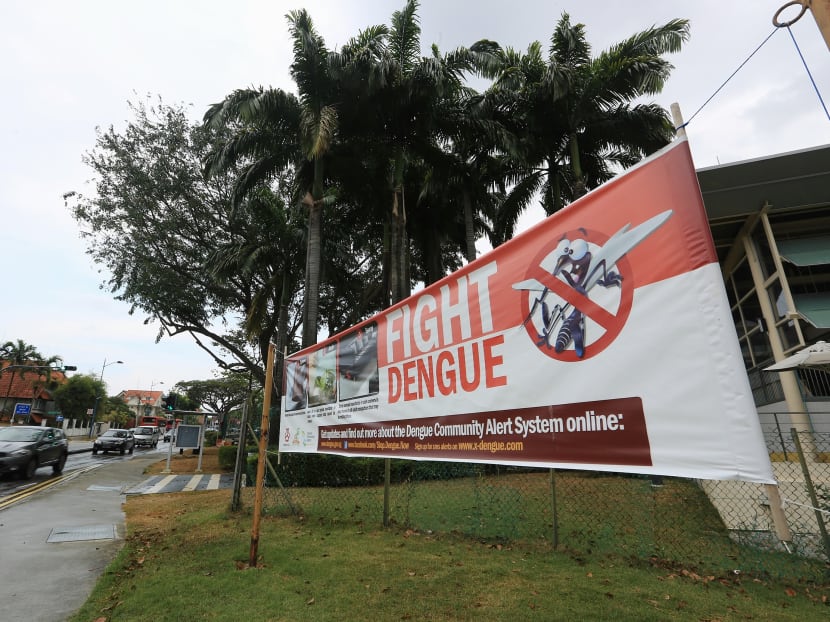 The population of the Aedes mosquito, which carries dengue, has been increasing, NEA said on Oct 30, 2020.
