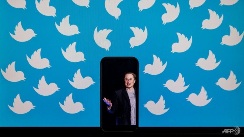 Elon Musk starts Twitter poll on whether to bring back Trump Elon Musk starts Twitter poll on whether to bring back Trump