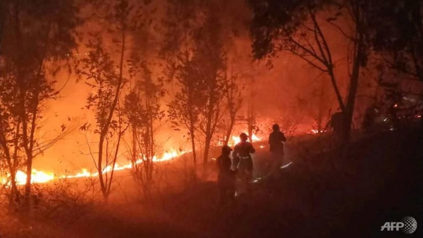 19 killed in massive China forest fire