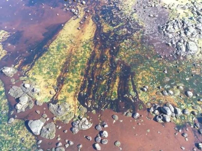Anxious Mauritians use hair to stem Japanese ship's oil spill