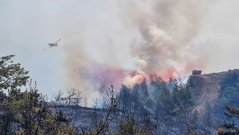 Wildfire in southwest Turkey rages; arson suspect detained Wildfire in southwest Turkey rages; arson suspect detained