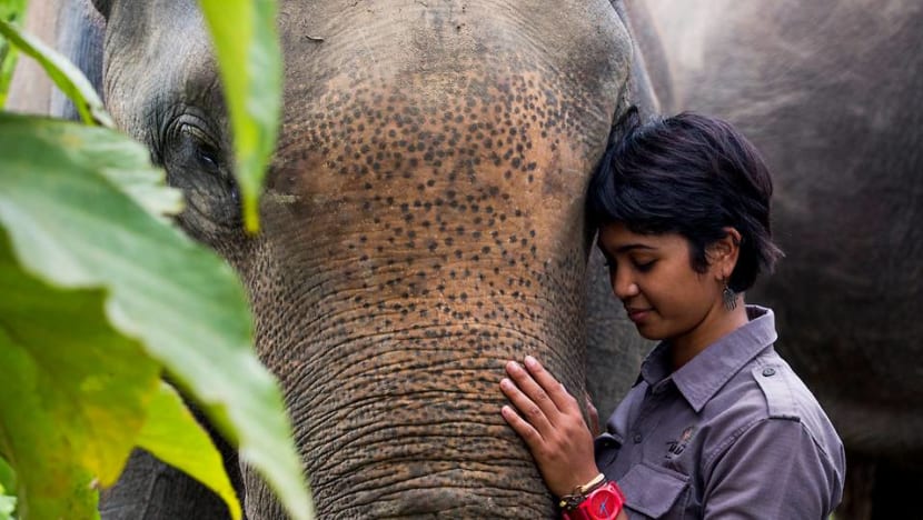 'Saya sebaik para pria': Aktivis lingkungan asal Aceh berjuang melindungi megafauna kawasan Leuser 'Saya sebaik para pria': Aktivis lingkungan asal Aceh berjuang melindungi megafauna kawasan Leuser