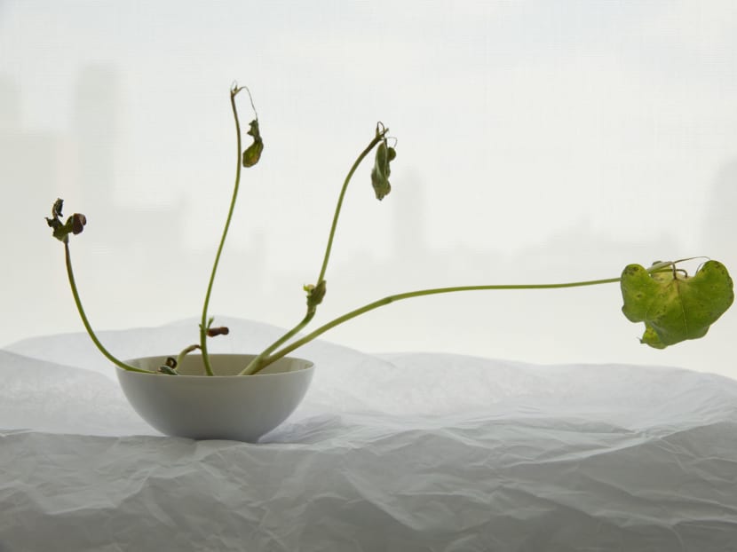 From beaches to beans: Time and material in 4 shows From beaches to beans: Time and material in 4 shows