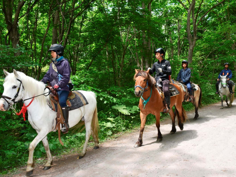 People riding horses search for a seven-year-old boy who went missing two days earlier, in Nanae town on the northernmost Japanese main island of Hokkaido, Japan, in this photo taken by May 30, 2016. Photo: Kyodo via Reuters