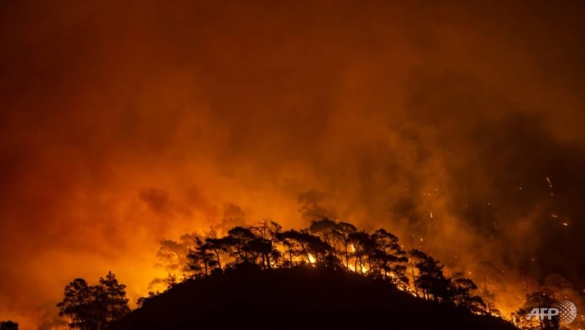 Deadly summer of extreme weather as climate change bites