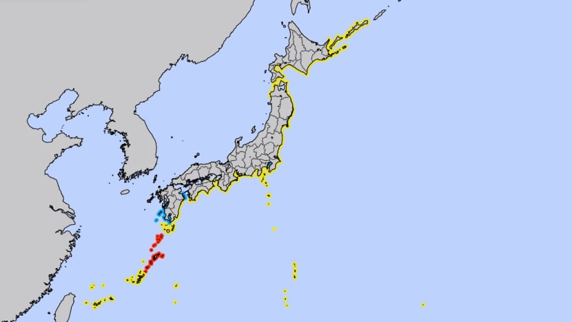 Tsunami caused by Tonga volcano eruption hits Japan's coast