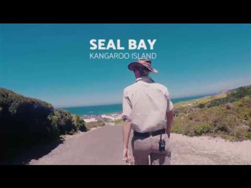 A S'porean in South Australia: Kangaroo Island in under 2 minutes.