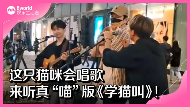 这只猫咪会唱歌　来听真“喵”版《学猫叫》！