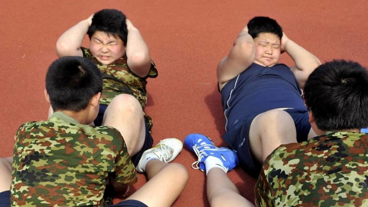 Analysis: China’s economic malaise seen accelerating obesity rates Analysis: China’s economic malaise seen accelerating obesity rates