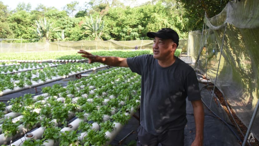 Petani Malaysia berdepan impak ketara fenomena El Nino dan jerebu terhadap hasil tanaman