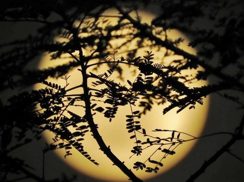 In photos: Harvest Moon rises above Singapore In photos: Harvest Moon rises above Singapore