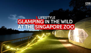 Sneak peek: Singapore Zoo’s Glamping In The Wild experience | CNA Lifestyle