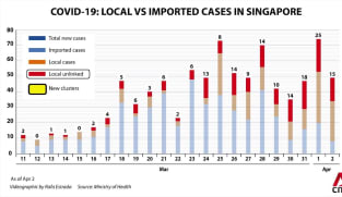 COVID-19 in Singapore: How the number of local cases and clusters has grown recently