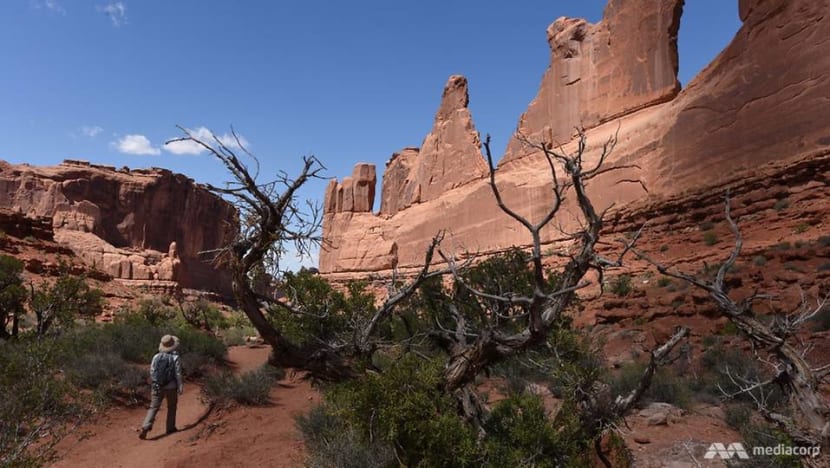 US National Park Service faces US$270 million wrongful death claim