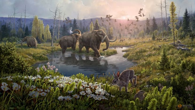 Oldest DNA on record - 2 million years - reveals Greenland's lost world Oldest DNA on record - 2 million years - reveals Greenland's lost world