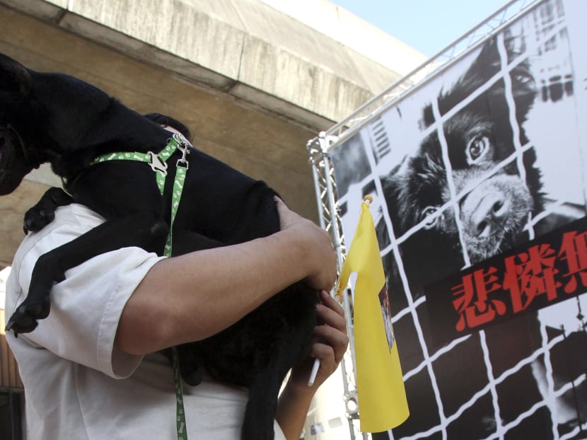 Taiwan bans sale, consumption of dog and cat meat TODAY