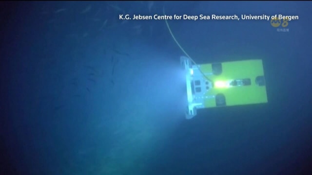深海采矿兴起 引发破坏海洋生态系统担忧
