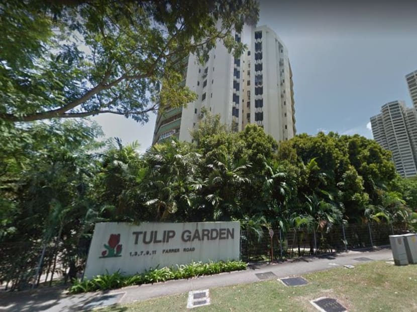 Tulip Garden in Farrer Road has been sold for S$906.889 million, making it the second largest collective sale deal this year.