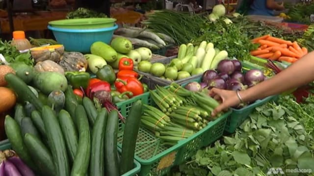 马国金马仑蔬菜减产 蔬菜价格水涨船高