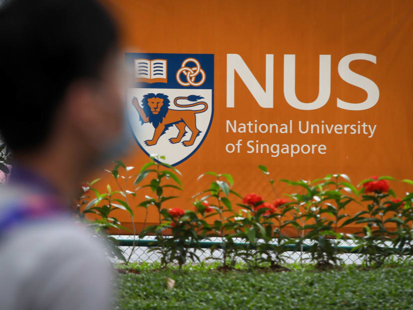 Man admits to stealing bags of laundry from NUS hall to look at female undergarments