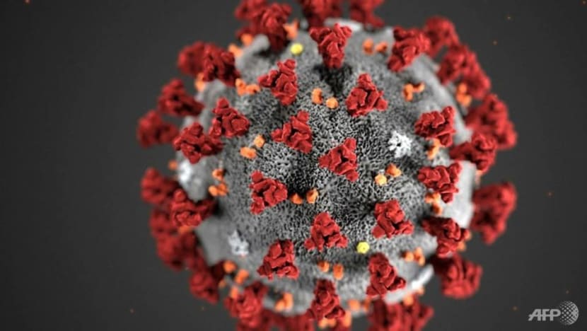 COVID-19: Singapore publishes new research findings that could help with development of vaccines, more accurate testing COVID-19: Singapore publishes new research findings that could help with development of vaccines, more accurate testing