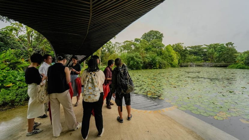 There Are Free Nature Tours At Gardens By The Bay To Help You Uncover Hidden Gems & Learn More About Sustainability There Are Free Nature Tours At Gardens By The Bay To Help You Uncover Hidden Gems & Learn More About Sustainability