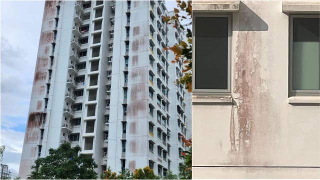 建屋局正同市镇会合作 关注盛港榜鹅组屋发霉问题