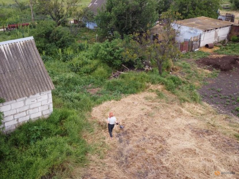 Ukraine war: pensioner sweeps fields for mines to put her cow out to pasture