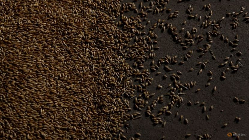 Ukraine grain exports via Poland, Romania face bottlenecks