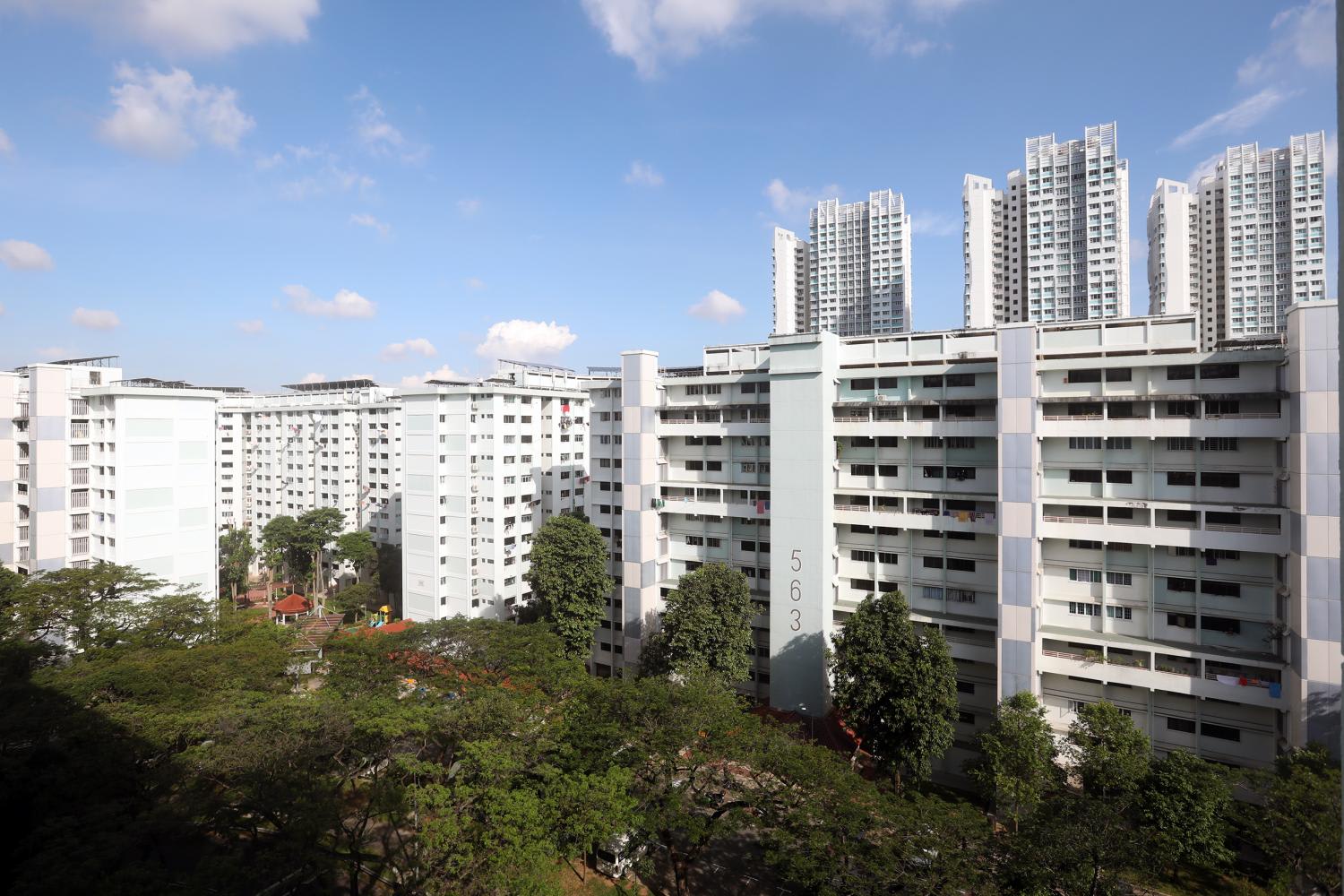 <p>Blocks 562, 563, 564 and 565 along Ang Mo Kio Avenue 3 (pictured) have been chosen for the Housing and Development Board's Selective En bloc Redevelopment scheme.</p>
<p>Blocks 562, 563, 564 and 565 along Ang Mo Kio Avenue 3 (pictured) have been chosen for the Housing and Development Board's Selective En bloc Redevelopment scheme.</p>