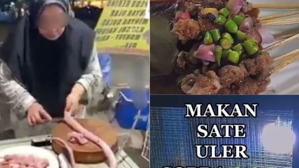 Tular video warga Indonesia makan sate daging ular;  pelancong Islam dinasihat sentiasa waspada 