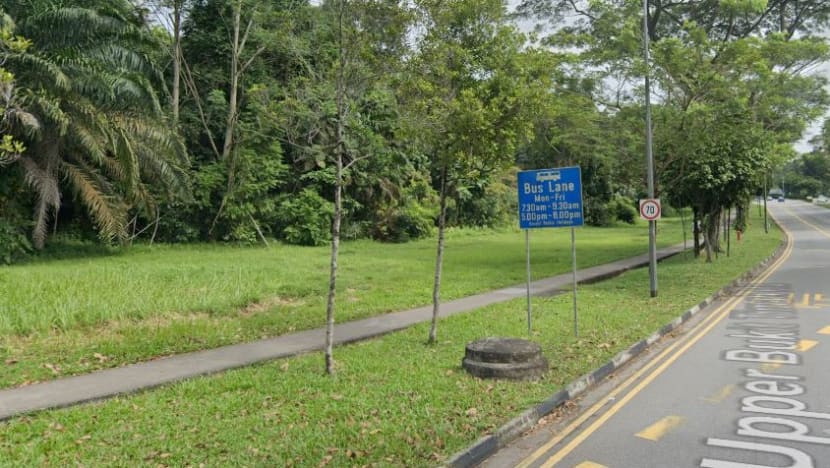 Wanita 48 tahun maut selepas ditemui terbujur di kawasan hutan Upper Bukit Timah Road Wanita 48 tahun maut selepas ditemui terbujur di kawasan hutan Upper Bukit Timah Road