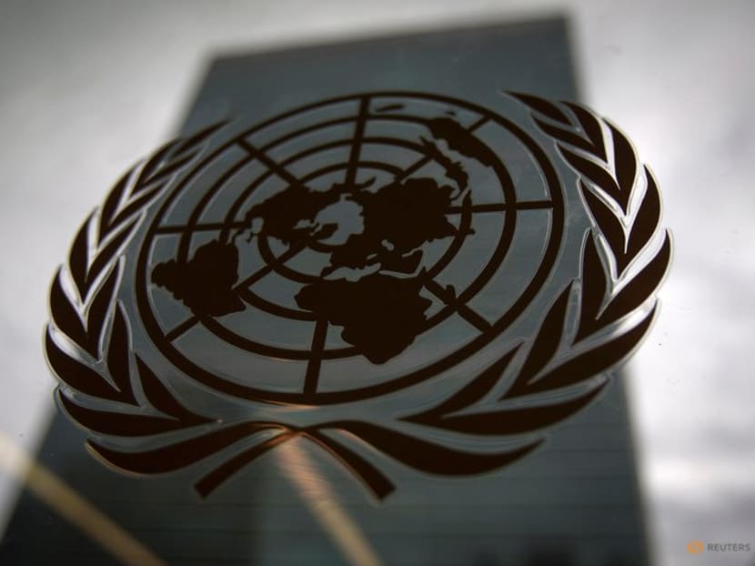 Palestinian rights group accuses Israel of 'mafia methods' as UN hearings open Palestinian rights group accuses Israel of 'mafia methods' as UN hearings open