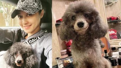 TVB Actress Cindy Lee Blasts Vet After Her Dog Goes Blind Following Teeth Extraction
