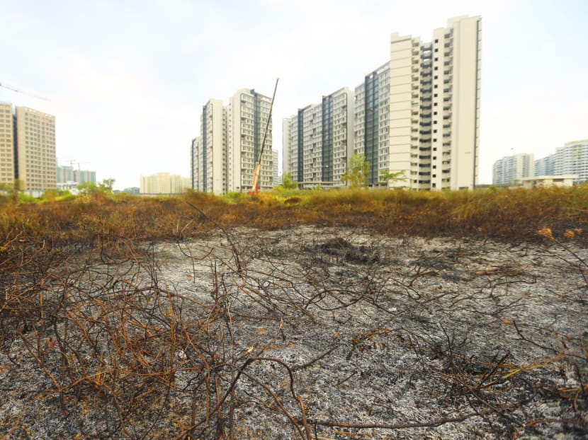 Fire breaks out at Punggol field