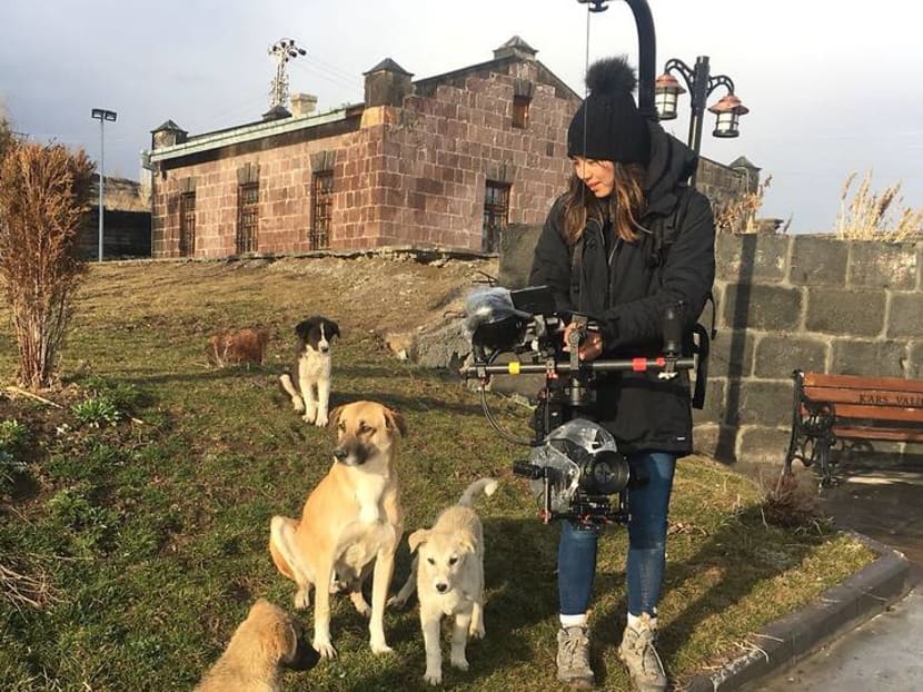 Istanbul stray dogs get own starring roles in new film from Hong Kong-born director Istanbul stray dogs get own starring roles in new film from Hong Kong-born director