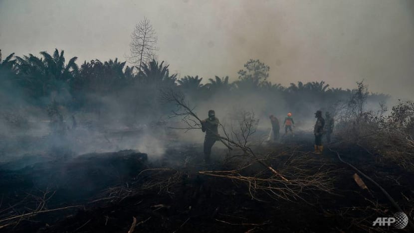 Indonesia government considering harsher punishments for forest burners Indonesia government considering harsher punishments for forest burners