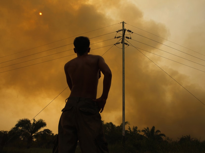 A worker stands as he looks on at fire from burning trees planted for palm oil, during haze at Bangko Pusako district in Rokan Hilir, on Indonesia's Riau province, June 24, 2013. Photo: Reuters